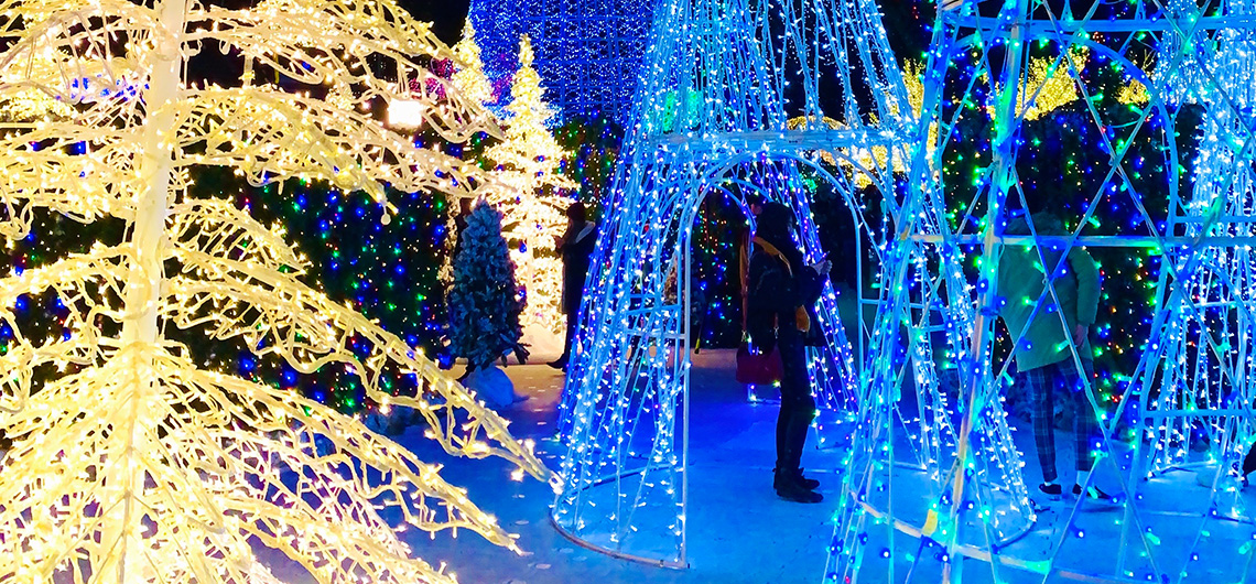 seasonal light display