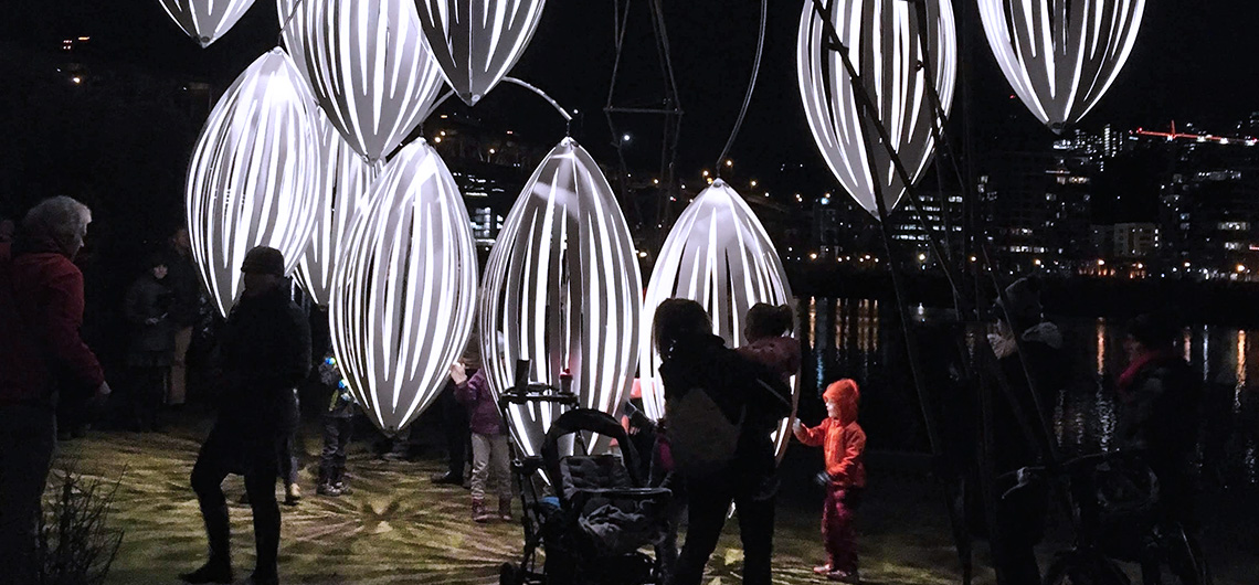 seasonal light display