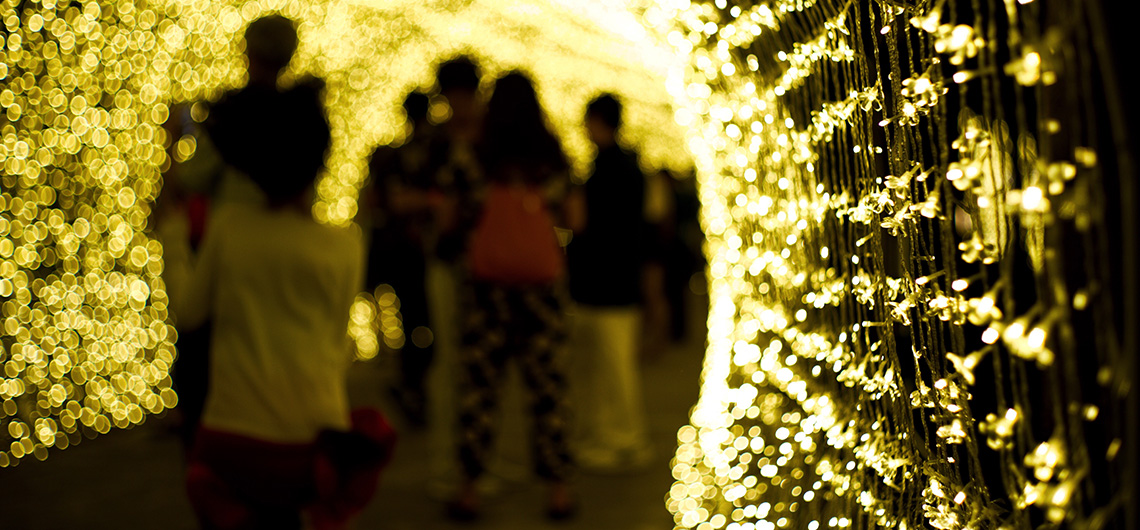 seasonal light display